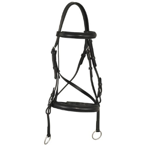 Bridle & Halter