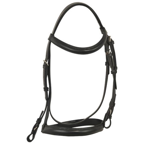 Bridle & Halter