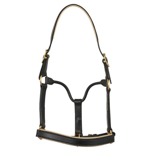 Bridle & Halter