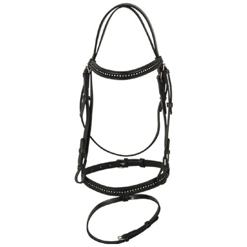 Bridle & Halter