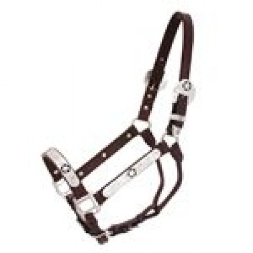 Show Halter 